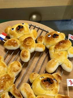 手作りのクマさんパン 手作りパン,パン,手作りの写真素材