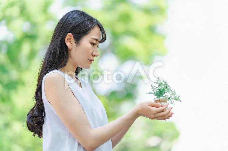 植物を持つ日本人女性（横顔） 植物,自然,新緑の写真素材
