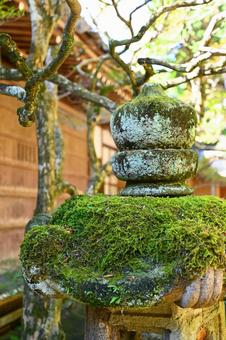 西尾の吉良家の菩提寺「片岡山 華蔵寺」 西尾の吉良家の菩提寺「片岡山 華蔵寺」の写真