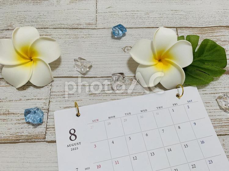8月カレンダー　ハイビスカス ８月,８月カレンダー,夏休みの写真素材