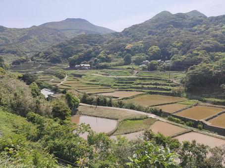 春日の棚田 春日の棚田の写真