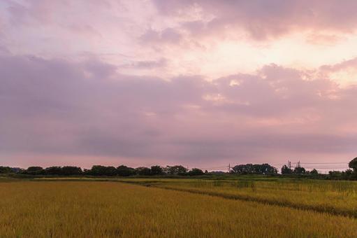 Photo, সকাল ভাস, ম্যাজিক কেয়ামত, দিনের ডেলিভারি, 