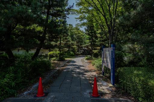 忍城周辺の景色 忍城周辺の景色 忍城,埼玉県,行田市の写真素材