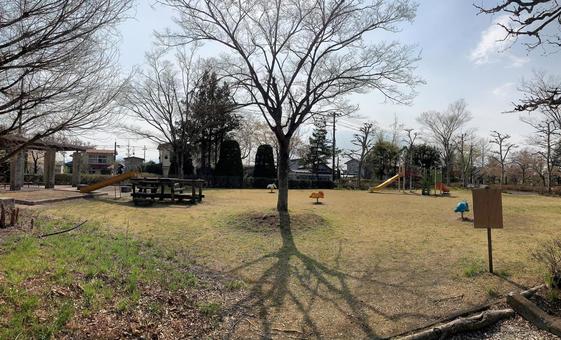 公園 公園の写真