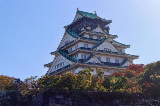 大阪城天守閣10 大阪城,天守閣,大阪城公園の写真素材