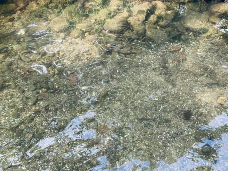 小川の水面テクスチャー 小川の水面テクスチャーの写真