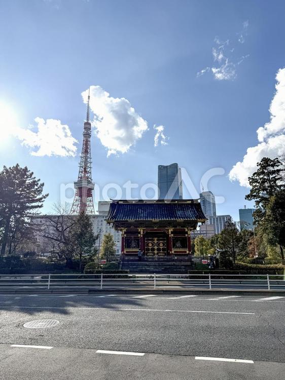 芝公園から東京タワーが見える 大門,高層ビル,オフィス街の写真素材