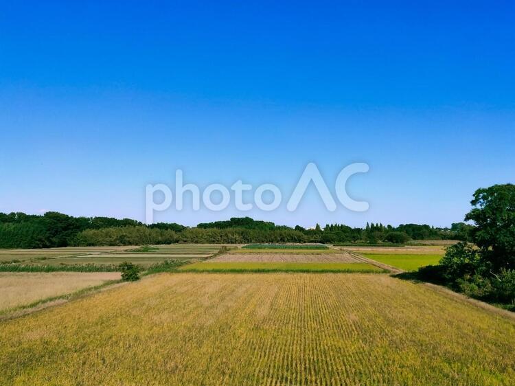 のどかな田舎の風景 風景,のどか,田舎の写真素材