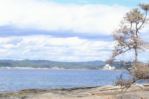 海岸からの景色 海岸からの景色の写真