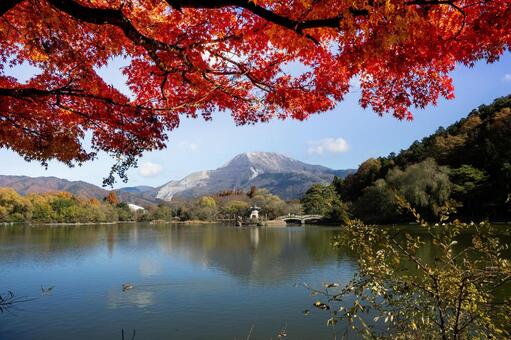 三島池の紅葉と伊吹山 三島池,紅葉,もみじの写真素材
