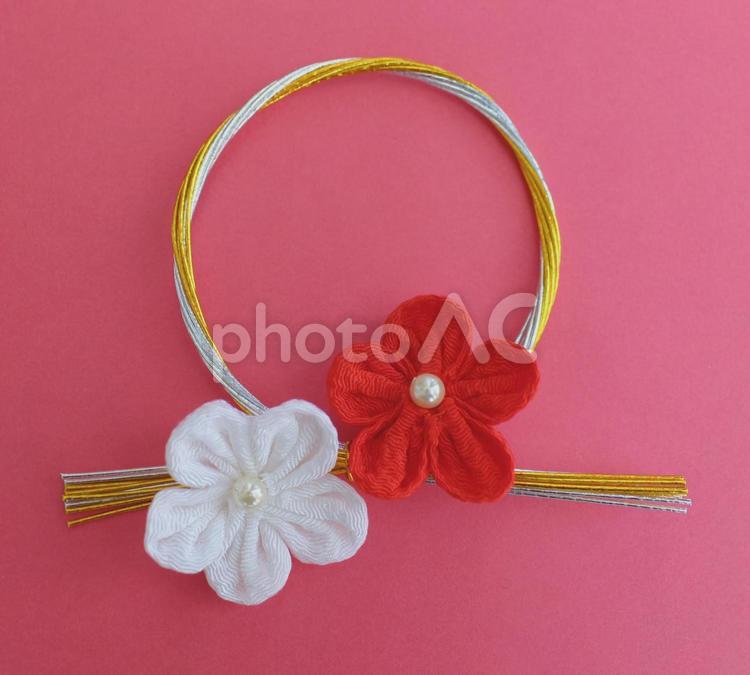 水引と紅白梅の花の飾り 紅白,正月飾り,梅の花の写真素材