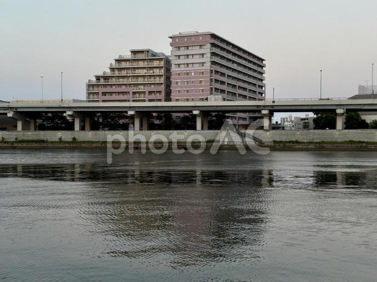 夕方の隅田川　隅田公園の遊歩道から 川,運河,隅田川の写真素材
