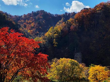 秋ノ宮の紅葉 秋ノ宮の紅葉の写真