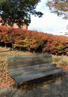 哀愁漂う秋の風景の写真