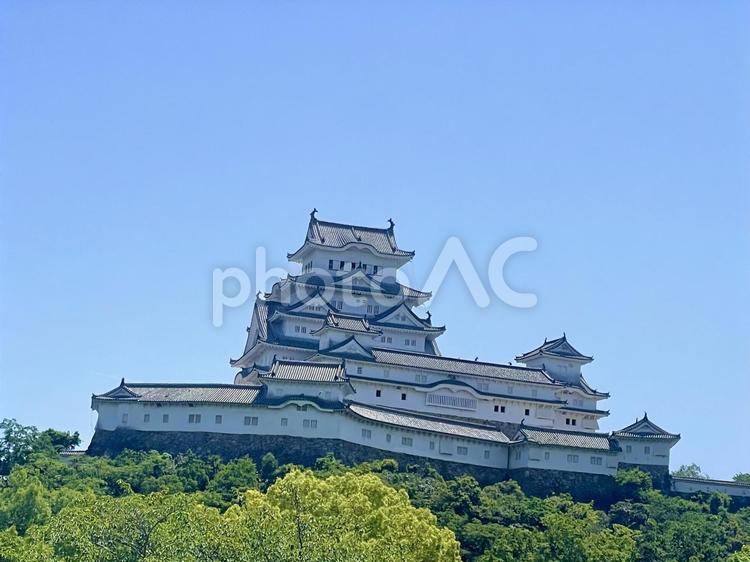 姫路城(北面) 姫路城,白鷺城,北面の写真素材