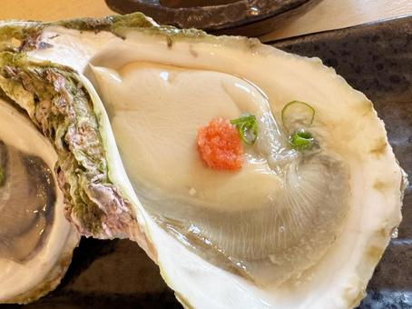 岩牡蠣 牡蠣,岩牡蠣,生牡蠣の写真素材