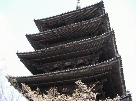 京都 清水寺 京都 清水寺の写真