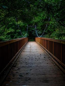 烏川渓谷緑地の吊り橋 ハイキング,マイナスイオン,森林の写真素材