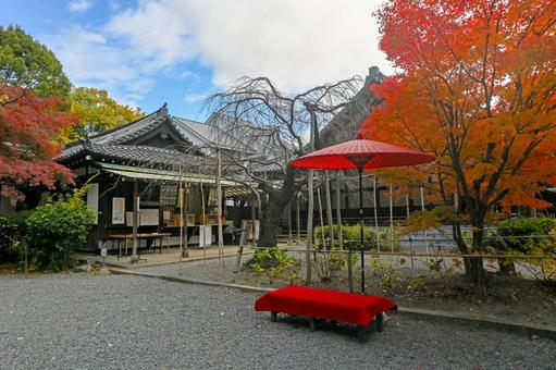 大阪・三島郡 水無瀬神宮 境内 大阪・三島郡 水無瀬神宮 境内の写真