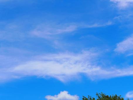 夏空と白い雲の写真
