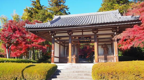 天覧山の山麓・能仁寺山門の紅葉(飯能市) 天覧山の山麓・能仁寺山門の紅葉(飯能市)の写真