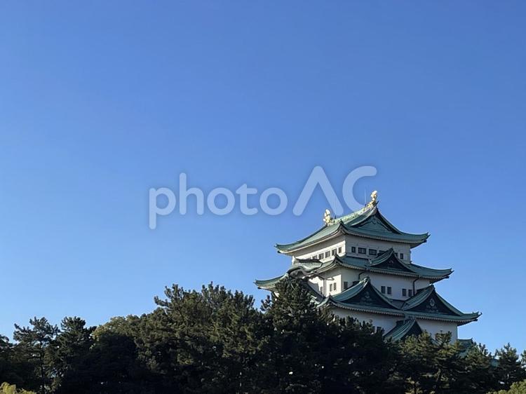朝の名古屋城と空 空,背景画像,背景素材の写真素材
