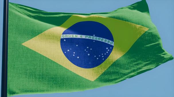 ブラジル国旗・風になびく ブラジル国旗・風になびくの写真