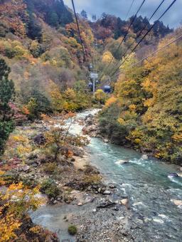 秋の苗場ドラゴンドラから観る清津川 清津川,河川,川の写真素材