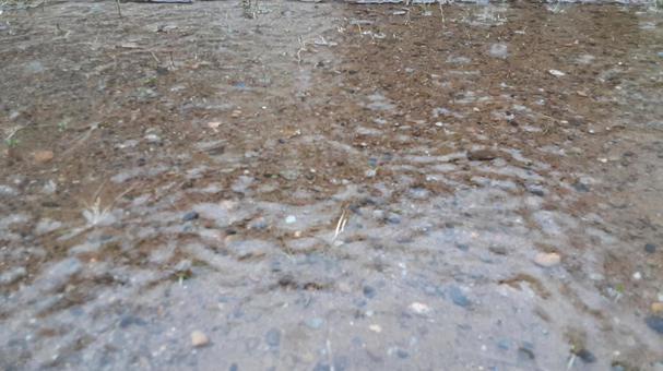 雨の日の地面・1 地面,水たまり,雨の写真素材