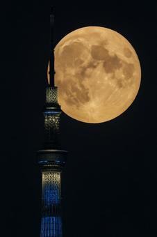 満月とスカイツリー 満月とスカイツリーの写真