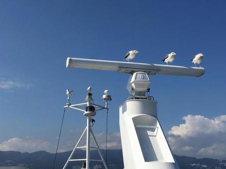 海辺の船と3羽の白い鳥 海辺の船と3羽の白い鳥の写真