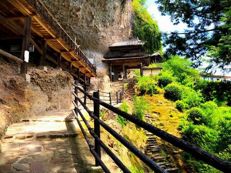 Photo, trip, natural, wood, 