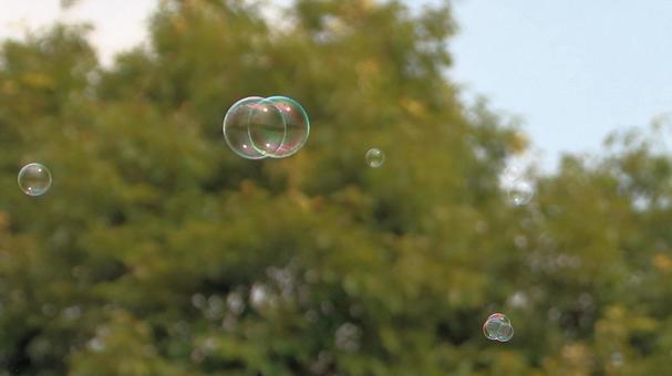 A lot of soap bubbles flew in the park during summer vacation, soap bubble, summer vacation, shabone jade, JPG