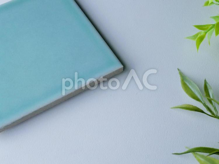 タイルと植物のイメージ　テキスト用 葉,新緑,木の葉の写真素材