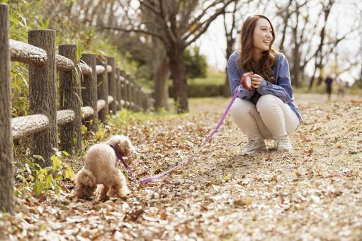 Woman walking in the park with her pet, पालतू पशु, खिलौना पूडल, पूडल, JPG