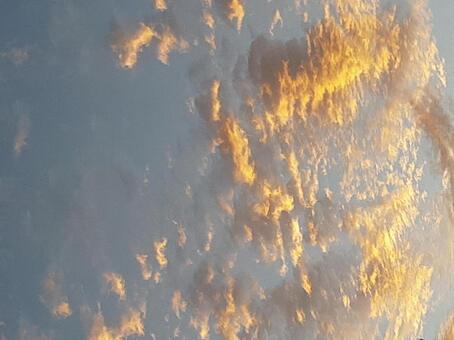 夕焼け空 夕焼け空の写真