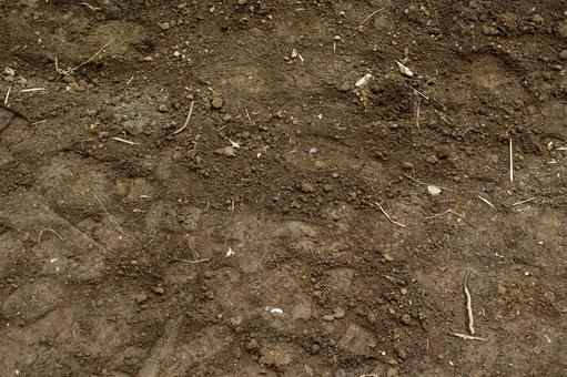 地面 地面,土,宅地の写真素材