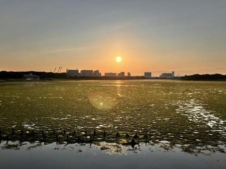 初夏の干潟 初夏の干潟の写真