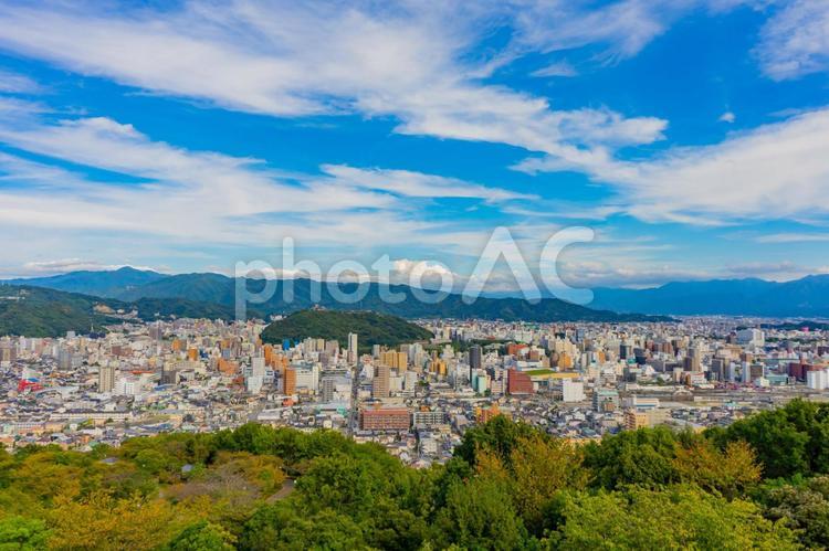 松山総合公園から見た松山城 松山総合公園,松山市,松山城の写真素材