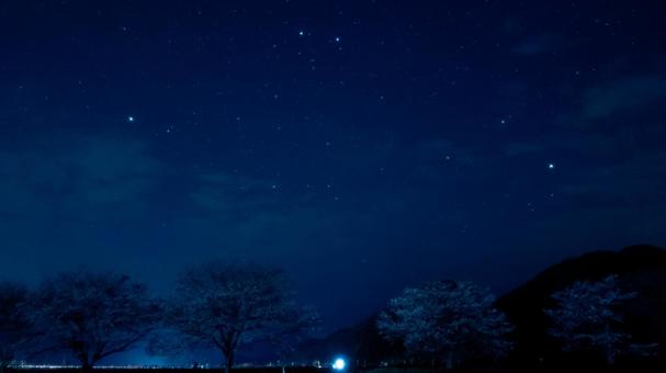 桜と桜の星空 桜と桜の星空 桜,星空,夜桜の写真素材