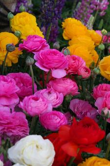 花壇 屋外 花壇 屋外の写真