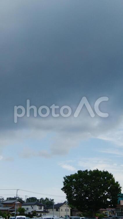 雨雲と大木 空,自然,風景の写真素材