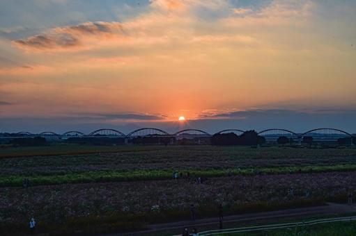 夕暮れ 夕暮れの写真