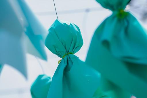 Photo, teltel boss, decoration, sendai agricultural horticultural center, 