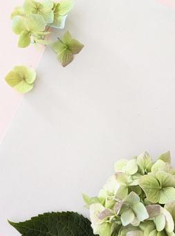 秋色紫陽花のフレーム 秋色紫陽花のフレームの写真