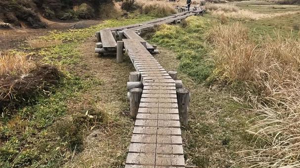 木道 長者原登山口 木道 長者原登山口 登山,坊がづる,木道の写真素材