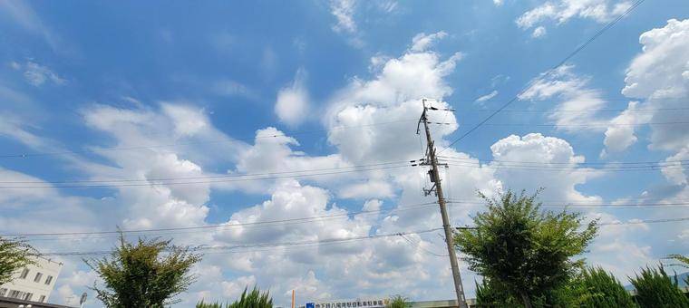 龍神様 龍神様 龍神様,イメージ,景色の写真素材