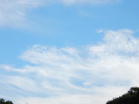 【空の写真】秋空 【空の写真】秋空 秋空,空,雲の写真素材