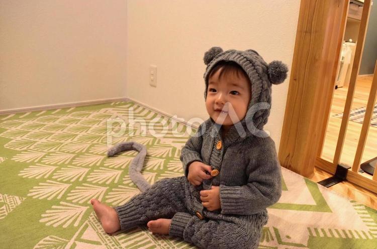 可愛い小さなねずみさん 人,幼児,男の子の写真素材