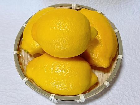 レモン レモン,檸檬,柑橘類の写真素材